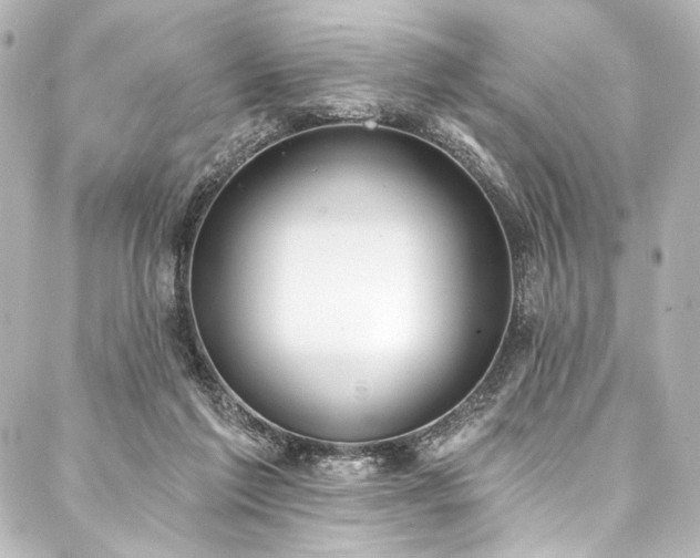 X0000088220213200705151421