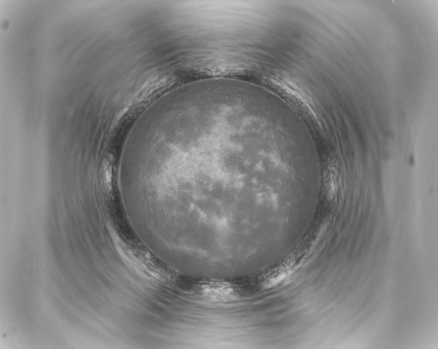 X0000088220214200705151421