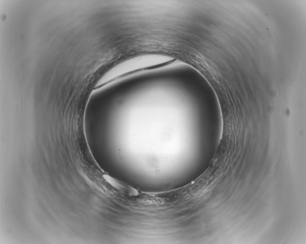 X0000088220215200705151421