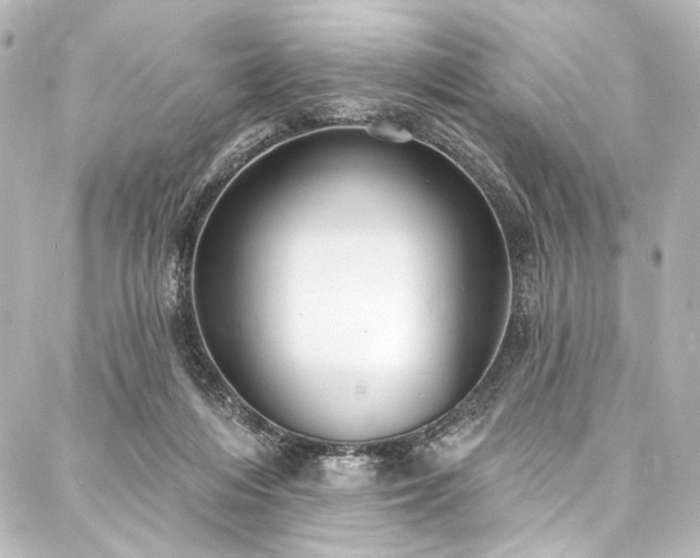 X0000088220216200705151421