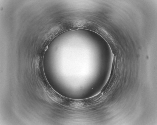 X0000088220217200705151421