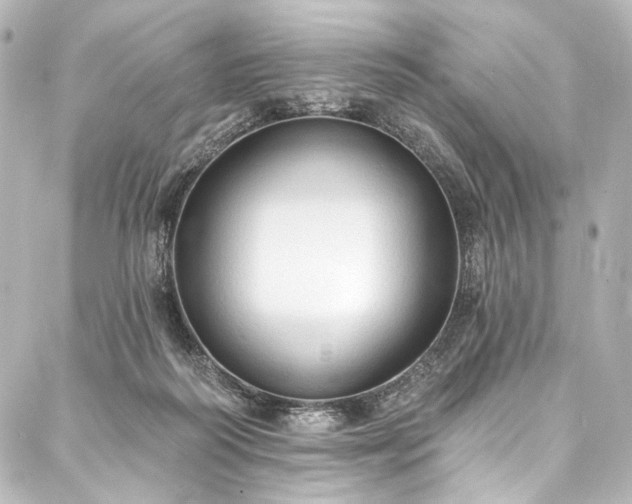 X0000088220218200705151421