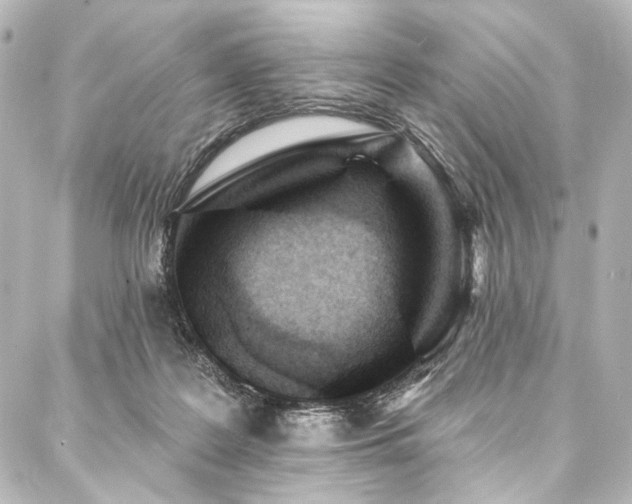 X0000088220219200705151421