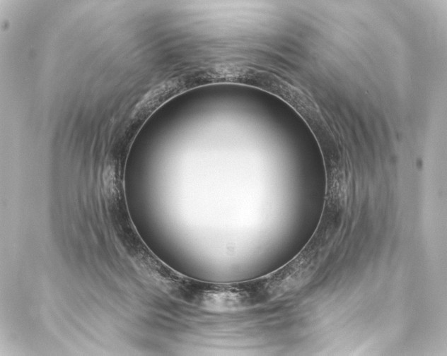 X0000088220220200705151421