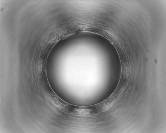 X0000088220221200705151421