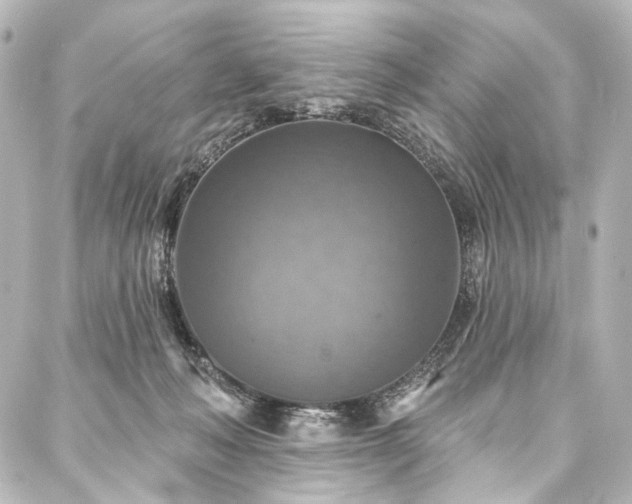 X0000088220222200705151421