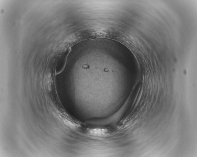 X0000088220223200705151421