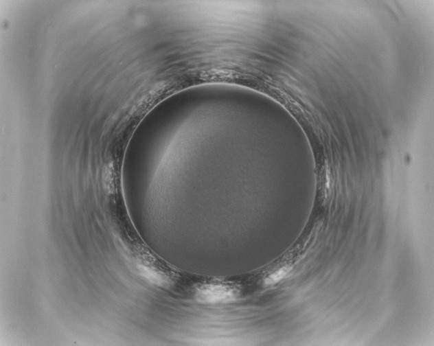 X0000088220224200705151421