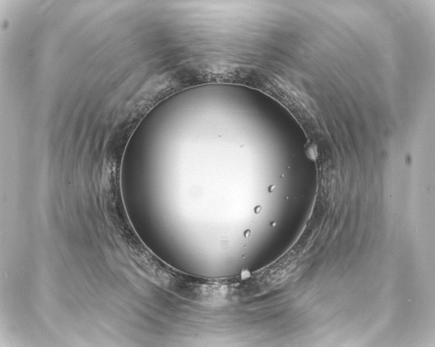 X0000088220225200705151421