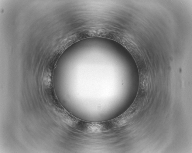 X0000088220226200705151421