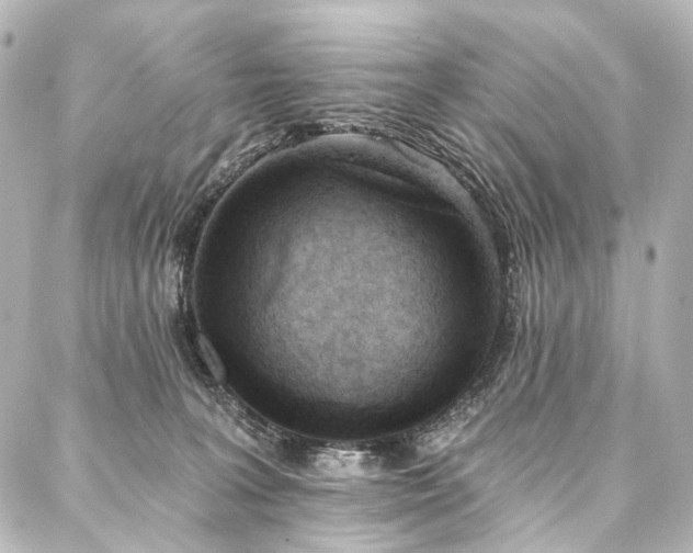 X0000088220227200705151421