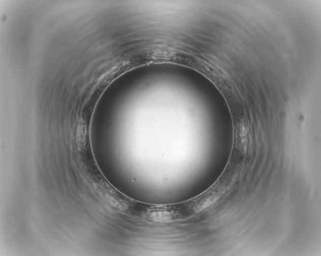 X0000088220228200705151421