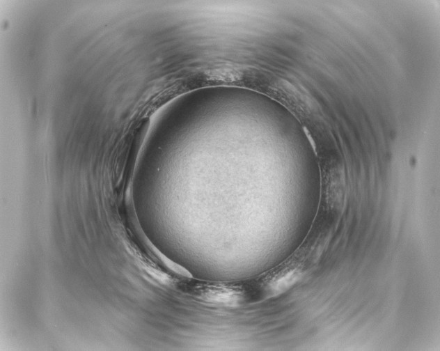 X0000088220229200705151421