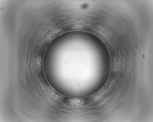 X0000088220230200705151421