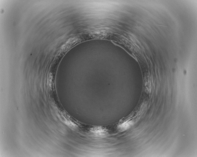 X0000088220231200705151421