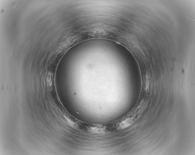 X0000088220232200705151421