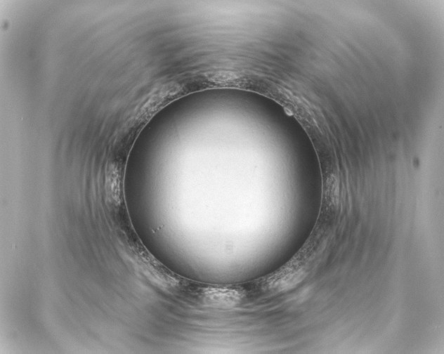 X0000088220234200705151421