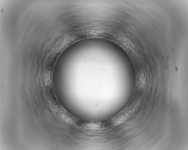 X0000088220236200705151421