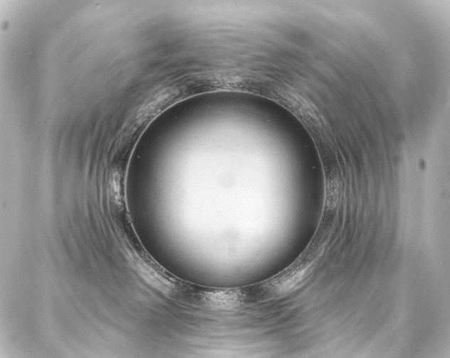 X0000088220238200705151421