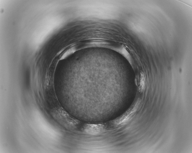 X0000088220239200705151421