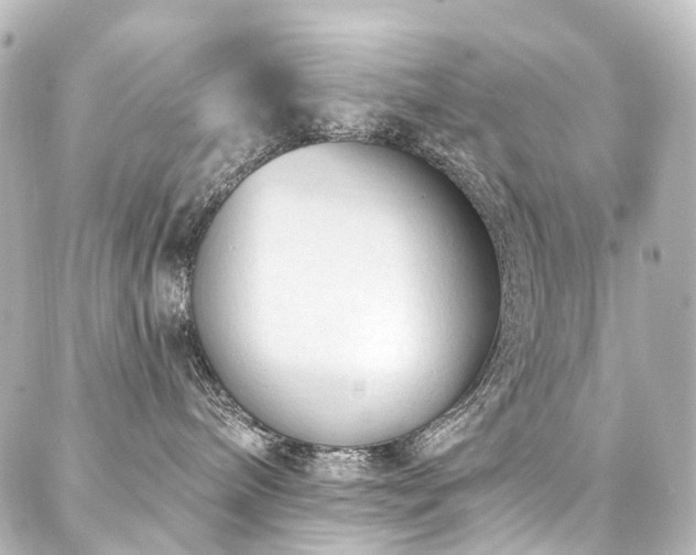 X0000088220240200705151421