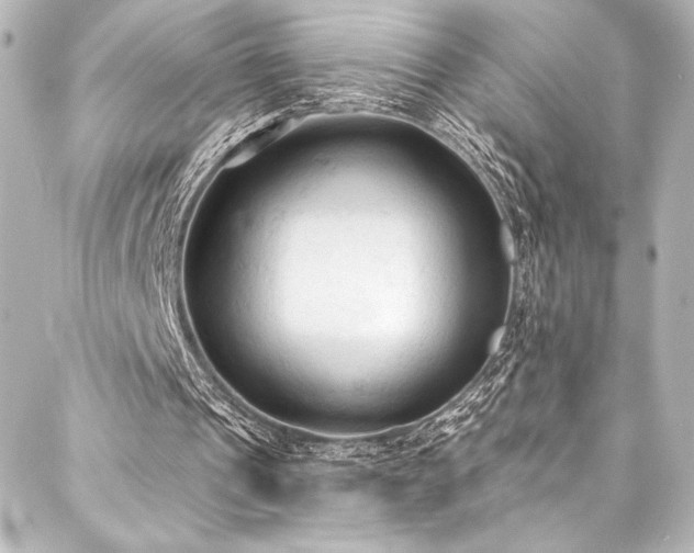 X0000088220241200705151420