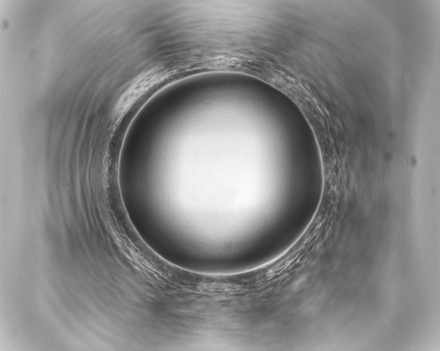 X0000088220242200705151420