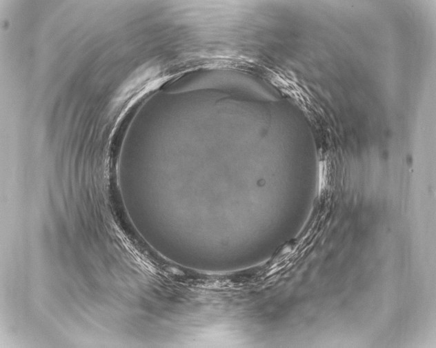 X0000088220243200705151420