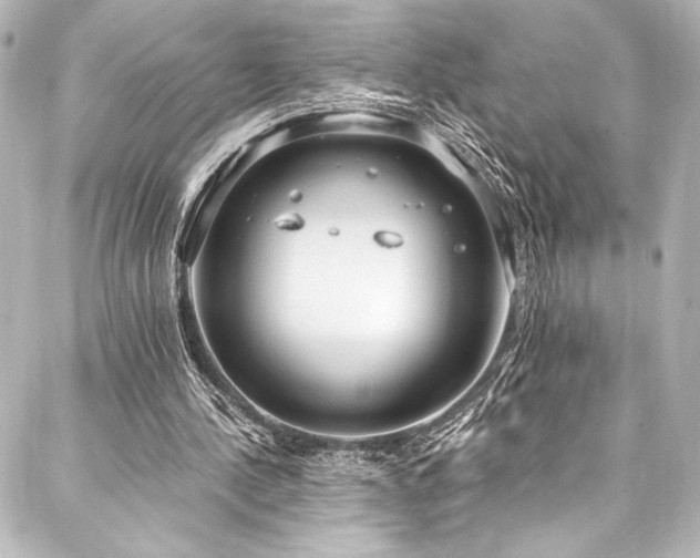 X0000088220244200705151420