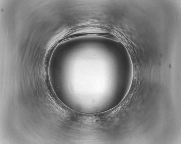 X0000088220245200705151420