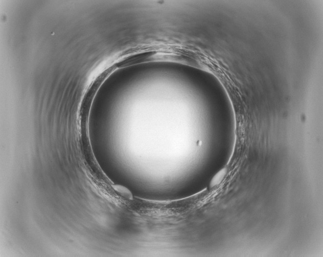 X0000088220246200705151420