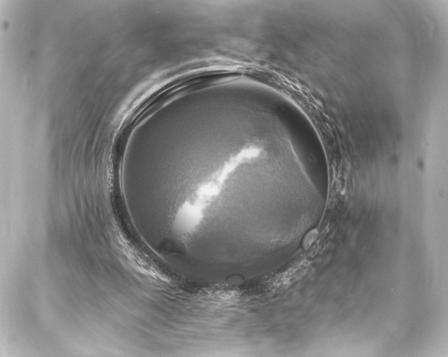 X0000088220247200705151420