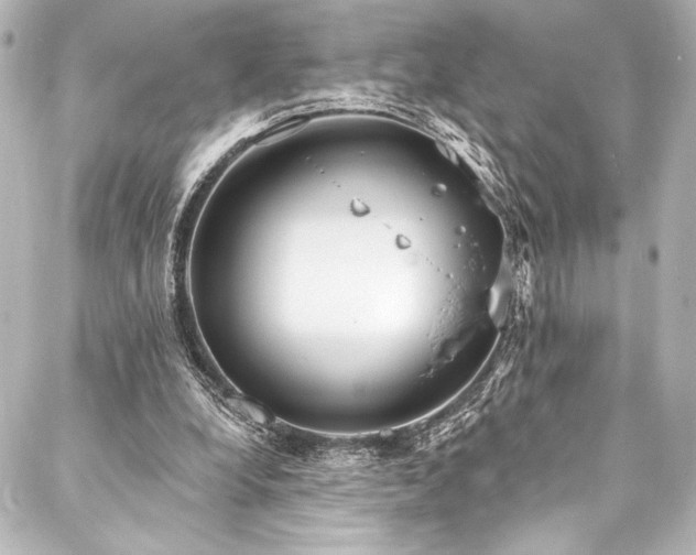 X0000088220248200705151420