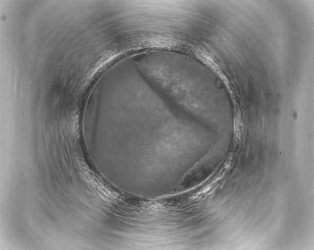 X0000088220249200705151420