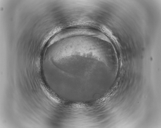 X0000088220250200705151420