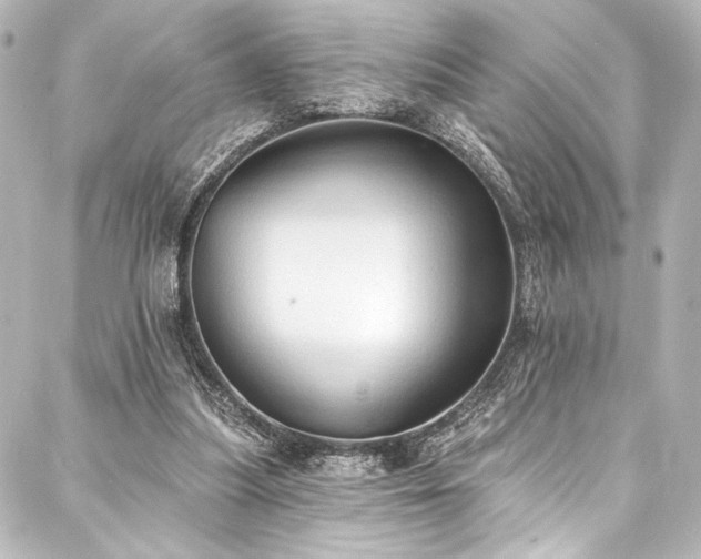 X0000088220251200705151420