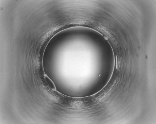 X0000088220252200705151420