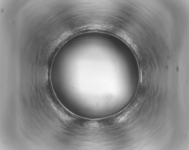 X0000088220253200705151420