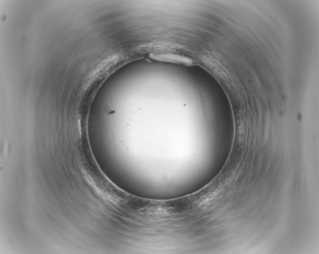 X0000088220254200705151420