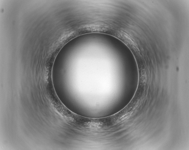 X0000088220255200705151420