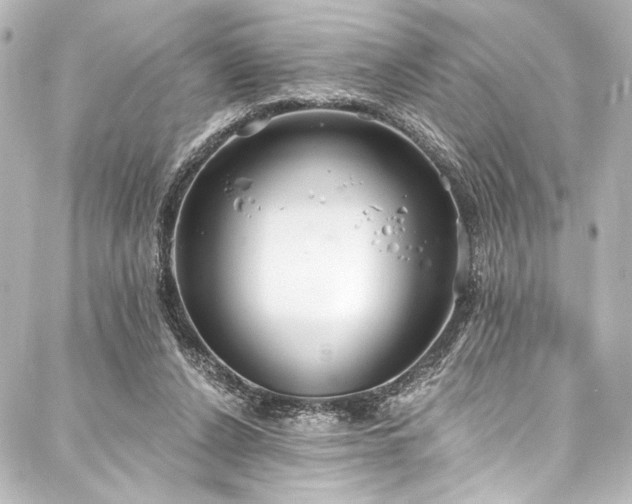 X0000088220256200705151420