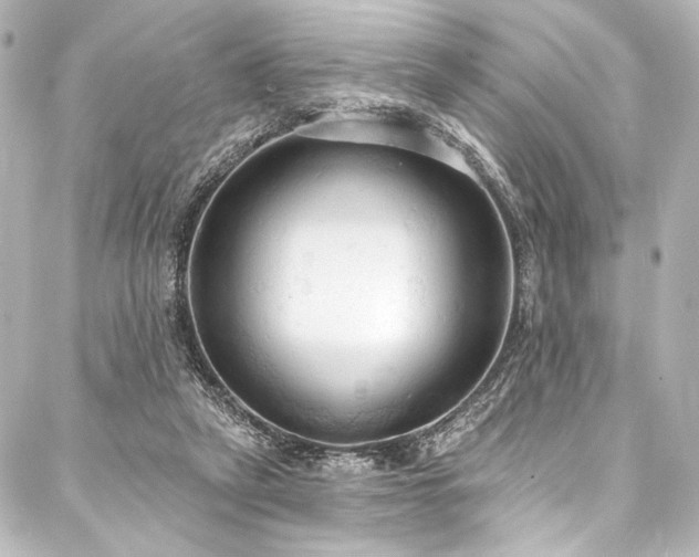 X0000088220257200705151420