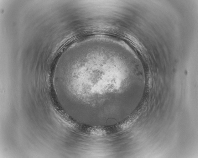 X0000088220258200705151420