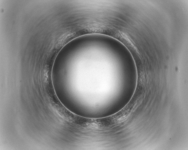 X0000088220259200705151420