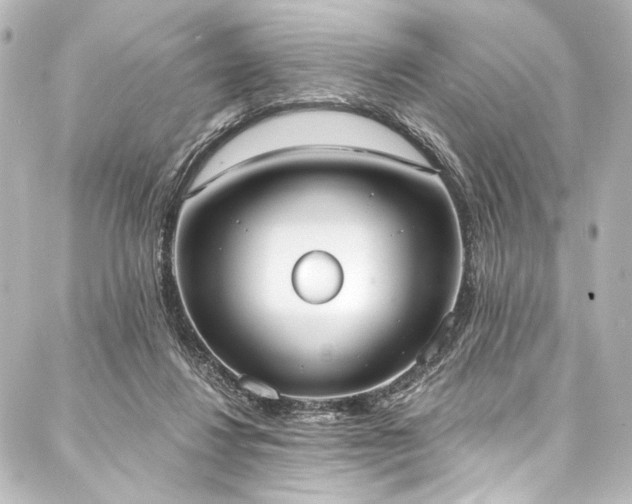 X0000088220260200705151420