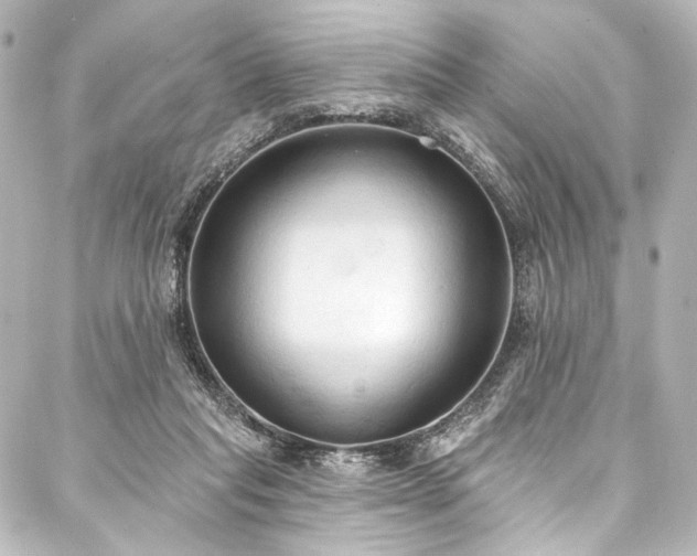 X0000088220261200705151421