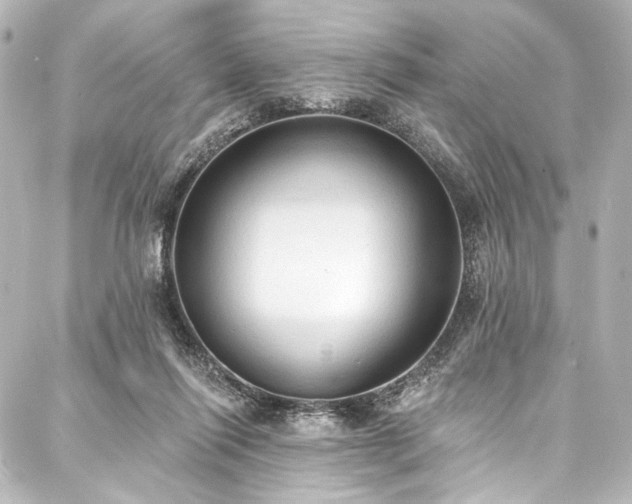 X0000088220262200705151421