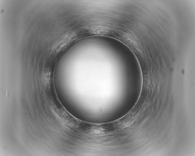 X0000088220263200705151421