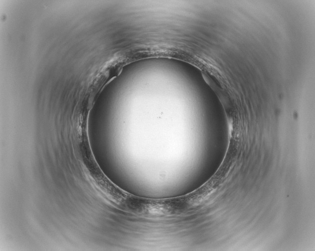 X0000088220264200705151421