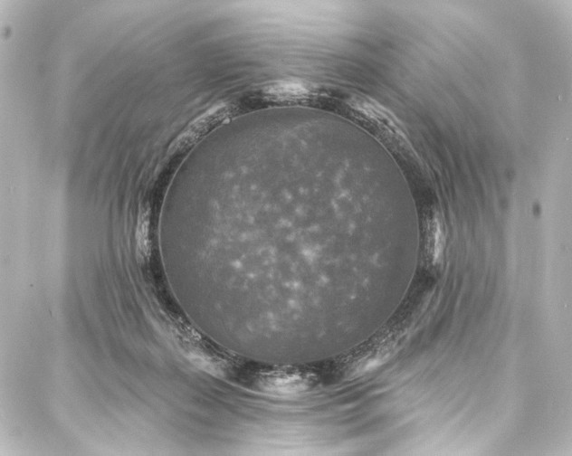 X0000088220267200705151421